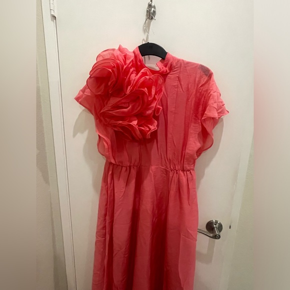 H&M Ramadan Exclusive Collection Appliquéd Maxi Dress
 Pink New - Picture 9 of 10